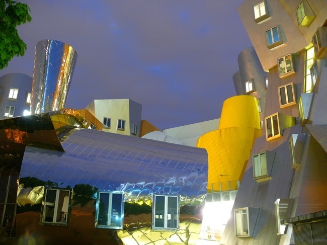 Frank Gehry Mit