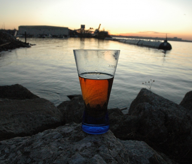 Ed Hauser Memorial Party 2009 - Whiskey Island, Cleveland Ohio