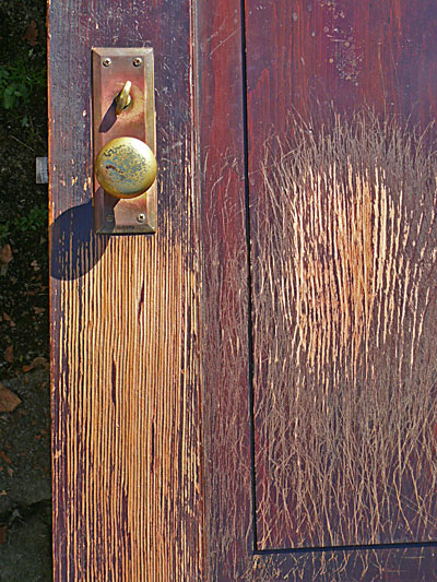 image jeff buster dog scrathes wood door happy to go outside