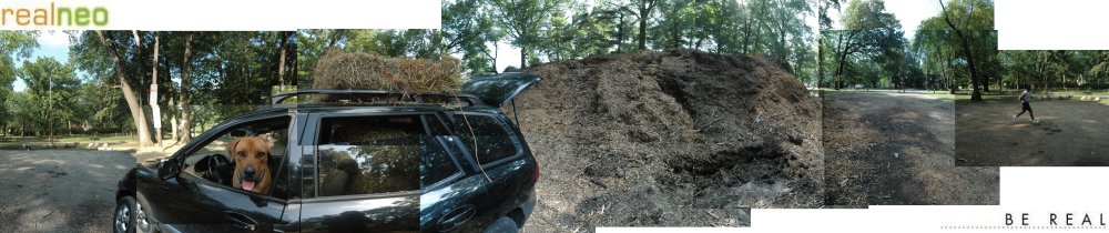 I GRO East Cleveland, Thanks to Free Shaker Heights Mulch