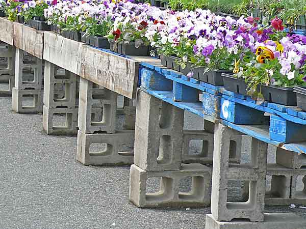 pallet concrete block nursery plant table
