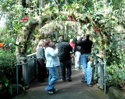 Orchid Mania 2009 At The Cleveland Botanical Garden Back To