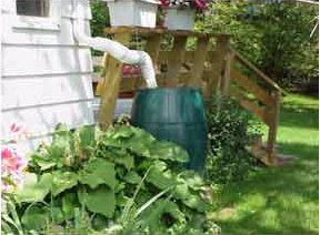 Rain Barrel Photo