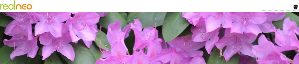 Abundant in Chinese