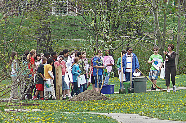 arbor day school kids watch as ornamental is planted