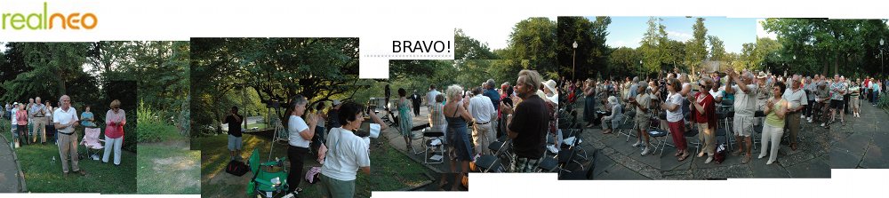 Realneo Italian Cultual Garden Pan Logo Bravo!