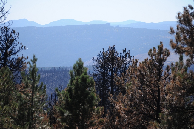  Fourmile Canyon Wildfire, West of Boulder, Colorado, September 2010 - burned canyon view from Sunshine Canyon Road by Gold Hill