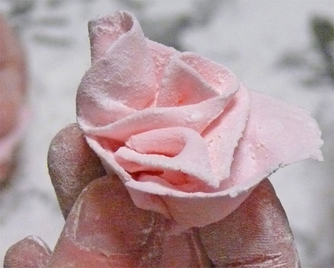 gum cake flower image jeff buster 4.17.10