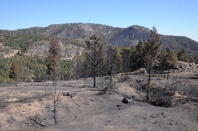  Fourmile Canyon Wildfire, West of Boulder, Colorado, September 2010 - burned canyon view from lower Sunshine Canyon Road