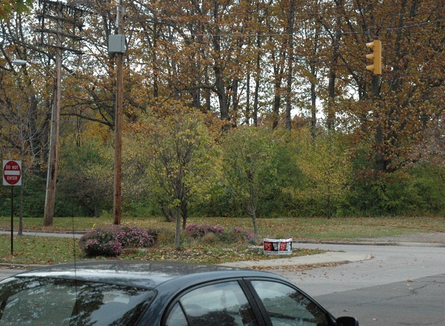 Illegal Issue 6 Signs in Cleveland Heights