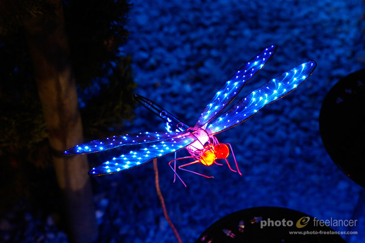 Close up of LED dragonfly Close up of LED dragonfly