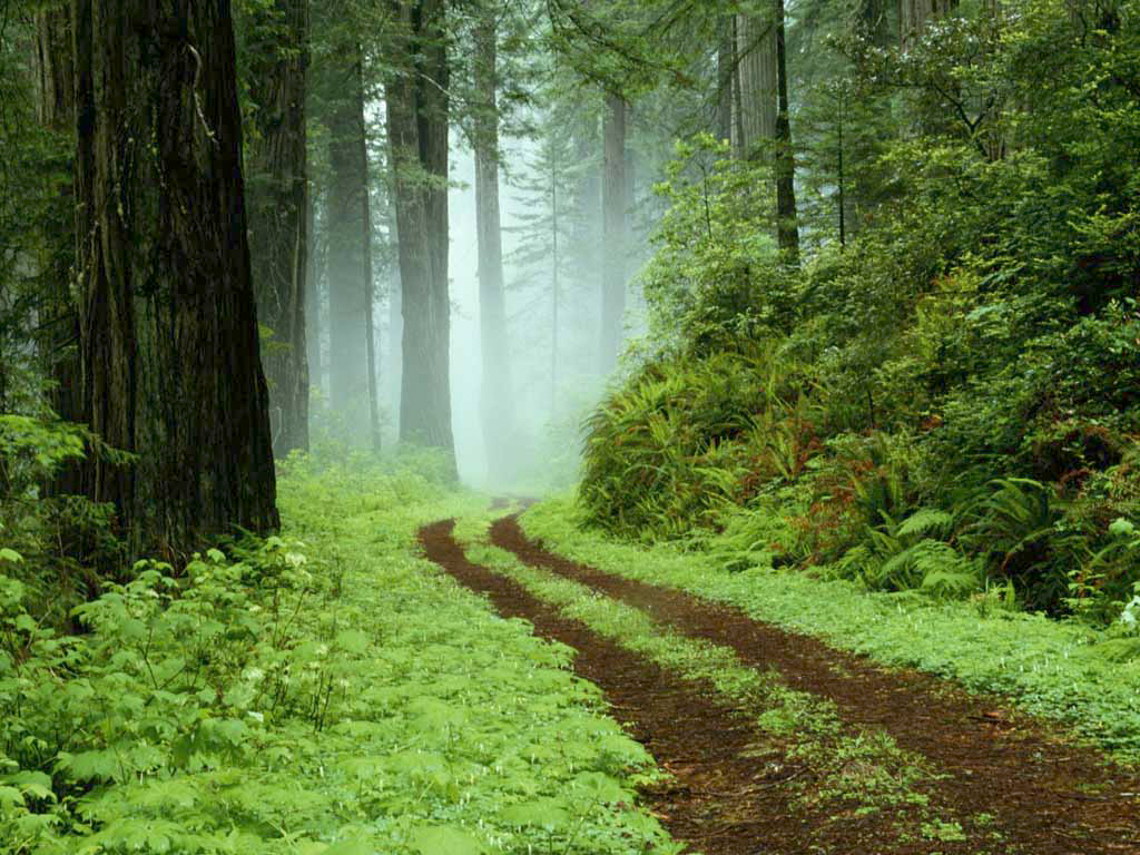 eden's path