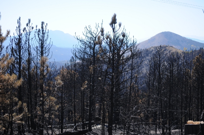  Fourmile Canyon Wildfire, West of Boulder, Colorado, September 2010 - burned canyon view from Sunshine Canyon Road by Gold Hill