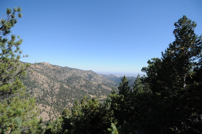  Fourmile Canyon Wildfire, West of Boulder, Colorado, September 2010 - beyond the fireline