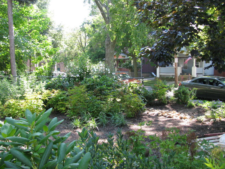 Brooklyn Centre Naturalists