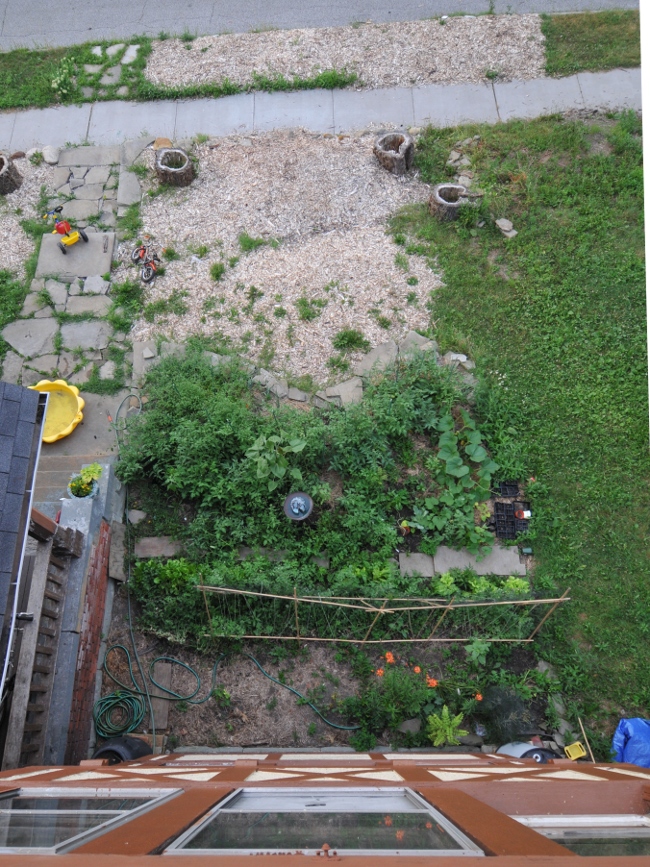 Front garden at Roxbury