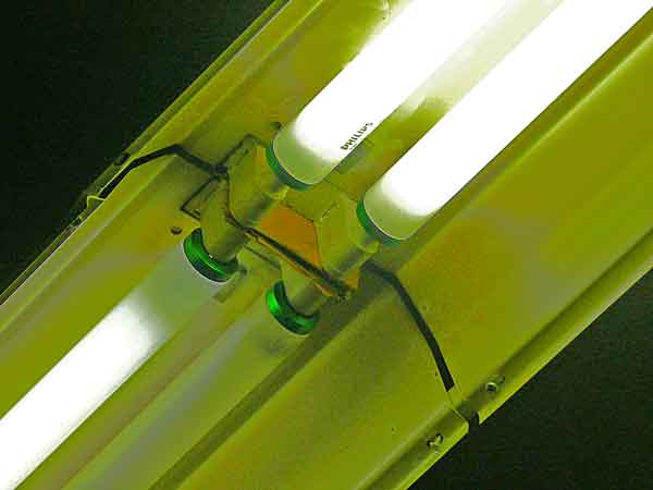 t12 Phillips flourescent bulb image jeff buster 1.6.10