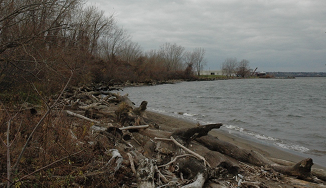 Whiskey Island shoreline from Coast Guard pier