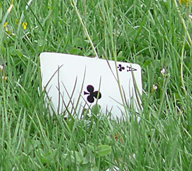 money is the ace of clubs