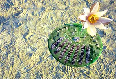 LED lilly and lillypad by day, showing solar panels on lillypad LED lilly and lillypad by day, showing solar panels on lillypad