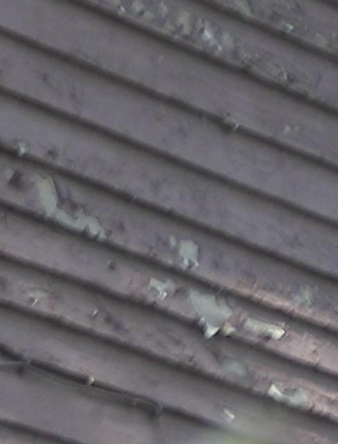 028_crop.jpg