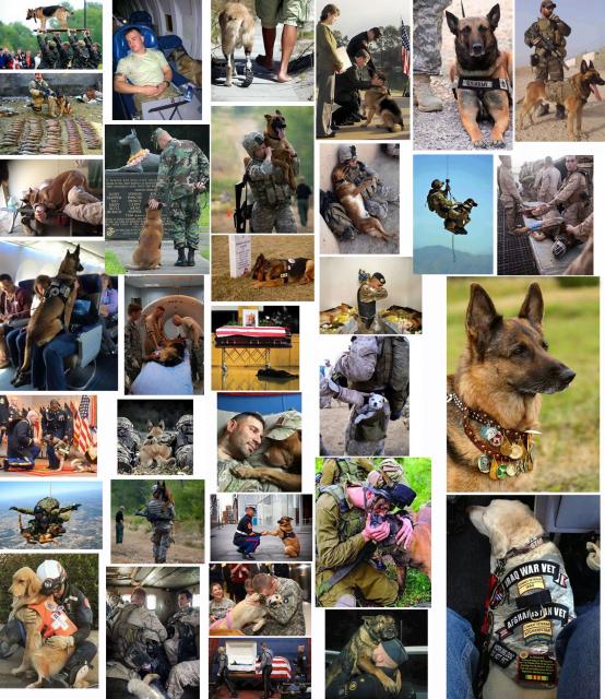 170310.war.dog.heroes.70pc.jpg