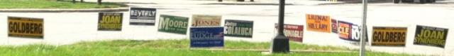 Election litter on public property - judge for yourself Election litter on public property - judge for yourself
