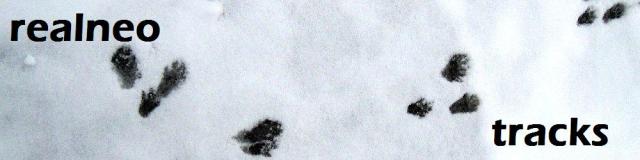 Tracks