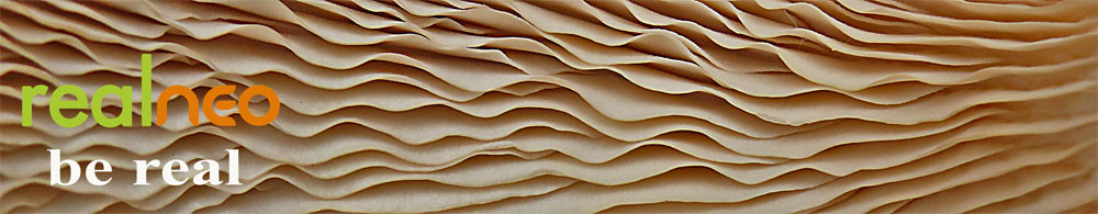 fungus underside structure