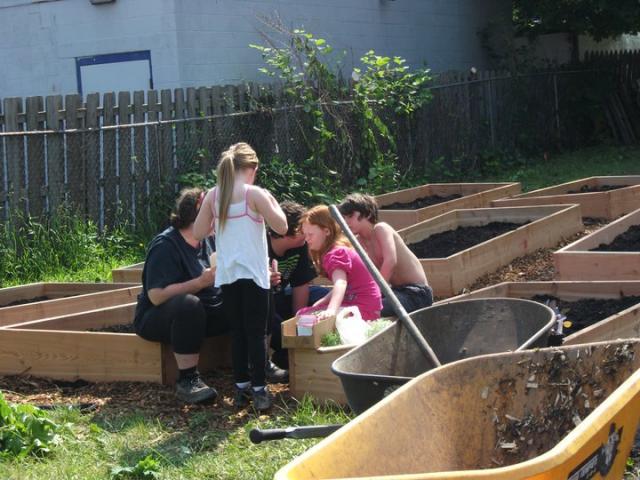 Teaching the children about insect pests in the garden and what to watch out for.