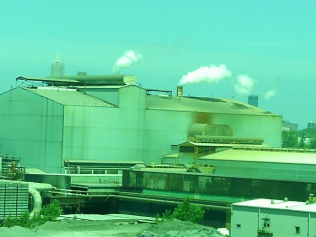 mittal_013.jpg