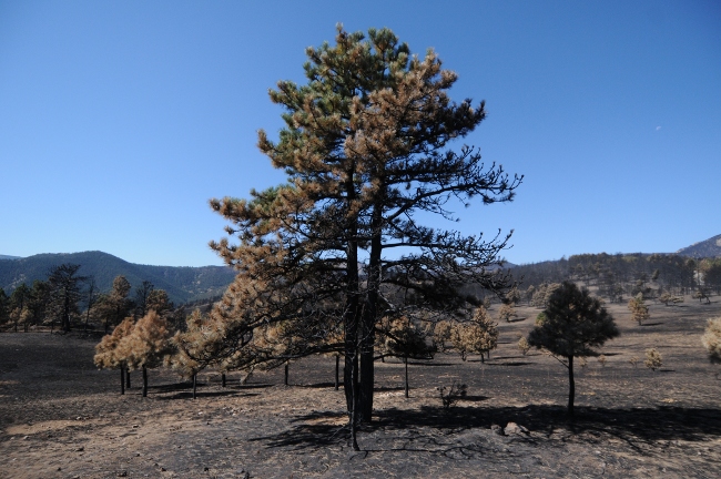  Fourmile Canyon Wildfire, West of Boulder, Colorado, September 2010